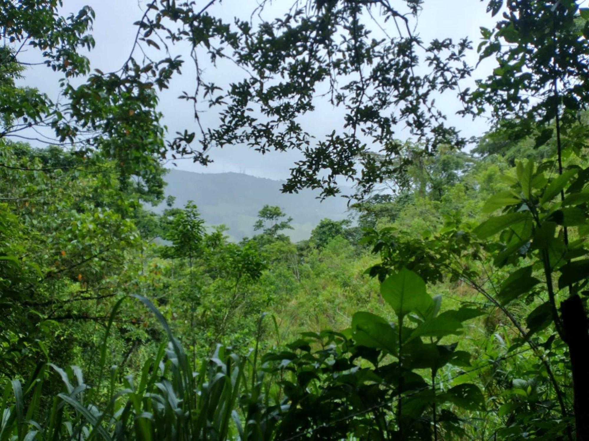 Best Western Hotel & Casino Kamuk Manuel Antonio Dış mekan fotoğraf